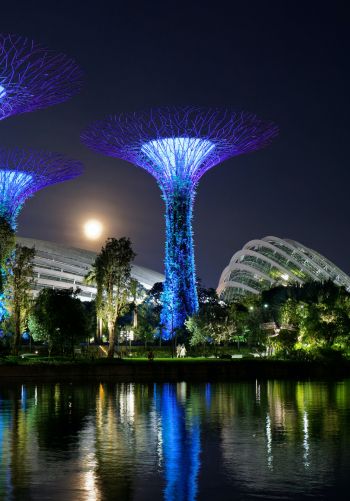 Gardens by the Bay, Singapore Wallpaper 1668x2388