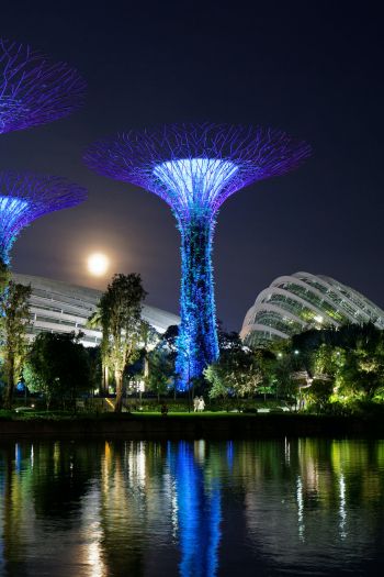 Обои 640x960 Сады у залива, Сингапур