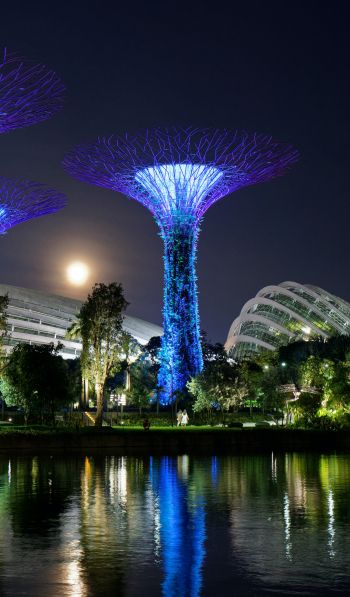 Обои 600x1024 Сады у залива, Сингапур