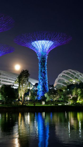 Gardens by the Bay, Singapore Wallpaper 640x1136