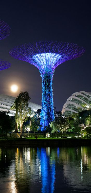 Gardens by the Bay, Singapore Wallpaper 1440x3040
