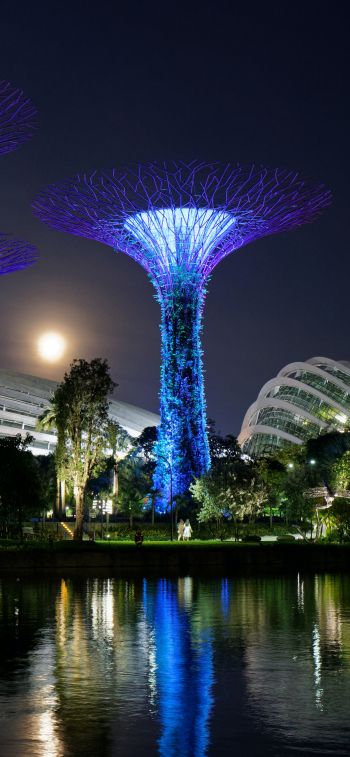 Gardens by the Bay, Singapore Wallpaper 828x1792