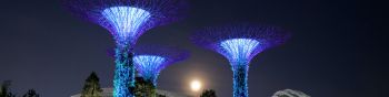 Gardens by the Bay, Singapore Wallpaper 1590x400