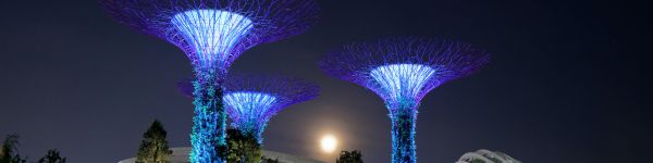 Gardens by the Bay, Singapore Wallpaper 1590x400