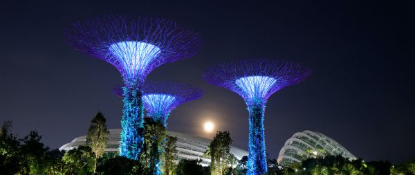 Gardens by the Bay, Singapore Wallpaper 2560x1080