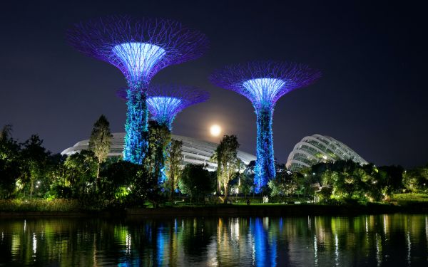 Gardens by the Bay, Singapore Wallpaper 1920x1200