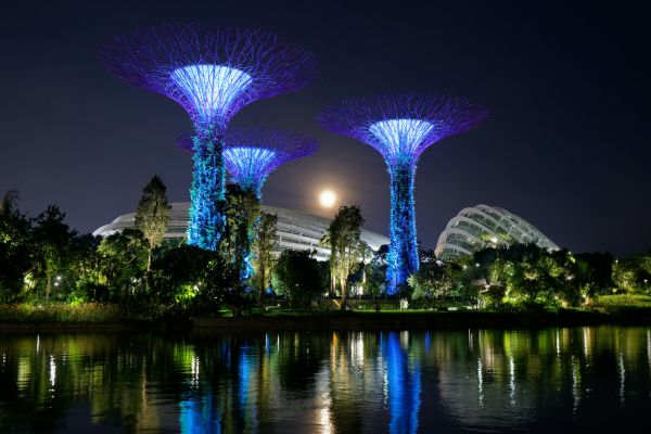 Gardens by the Bay, Singapore Wallpaper 7162x4776