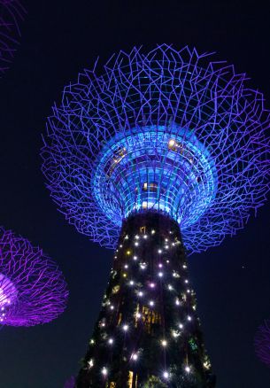 Singapore, night photo Wallpaper 1640x2360