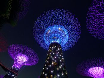 Обои 800x600 Сингапур, ночное фото