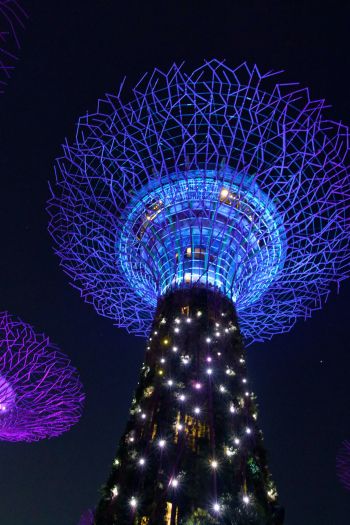 Обои 640x960 Сингапур, ночное фото