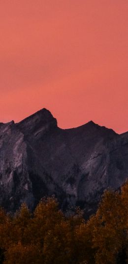 Kenmore, Canada Wallpaper 1080x2220