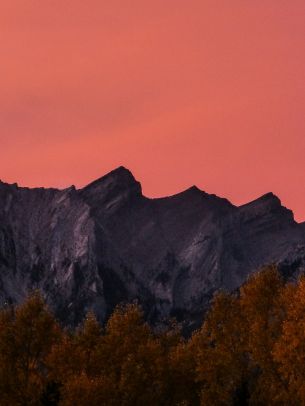 Kenmore, Canada Wallpaper 1668x2224