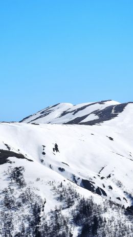 Changshal Pass, Himachal Pradesh Wallpaper 640x1136