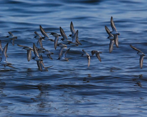 Biddeford Pool, Biddeford, Maine, USA Wallpaper 1280x1024