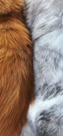 wool, fur, background Wallpaper 1080x2340