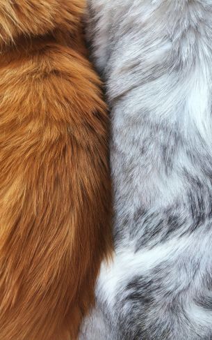 wool, fur, background Wallpaper 1752x2800