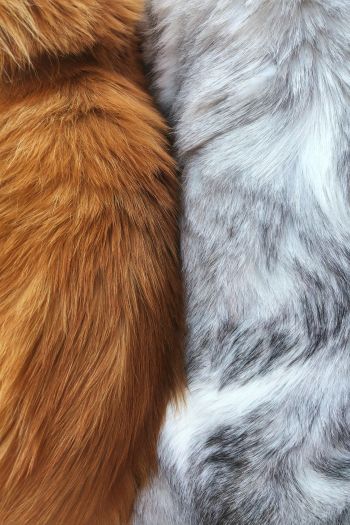 wool, fur, background Wallpaper 640x960
