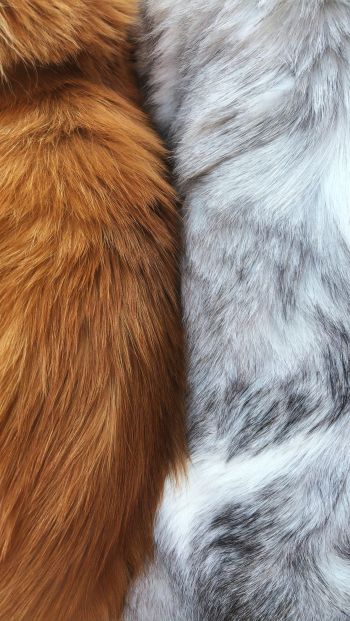 wool, fur, background Wallpaper 640x1136