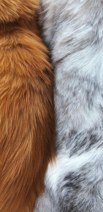 wool, fur, background Wallpaper 1080x2220