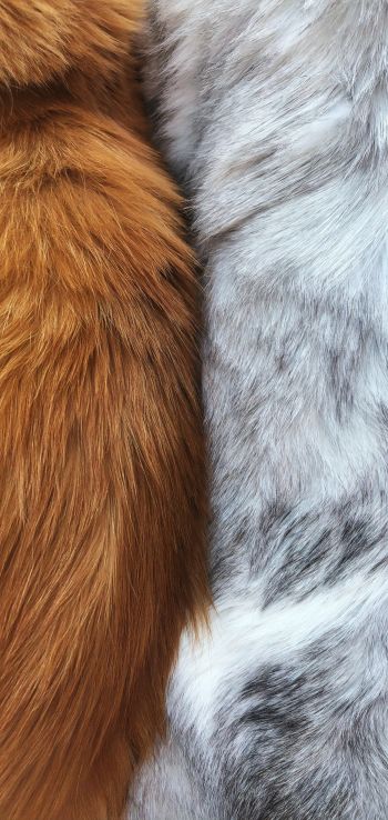 wool, fur, background Wallpaper 1080x2280