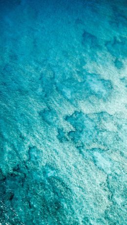 sea, blue Wallpaper 750x1334