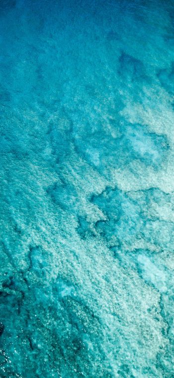 sea, blue Wallpaper 1125x2436