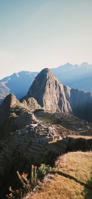 Machu Picchu, peru Wallpaper 828x1792
