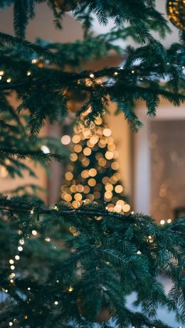 christmas, Christmas tree, New Year Wallpaper 640x1136