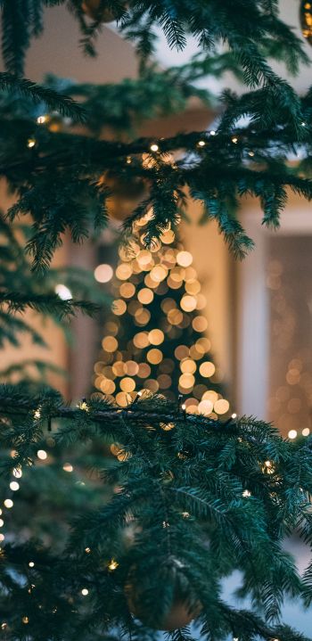 christmas, Christmas tree, New Year Wallpaper 1080x2220