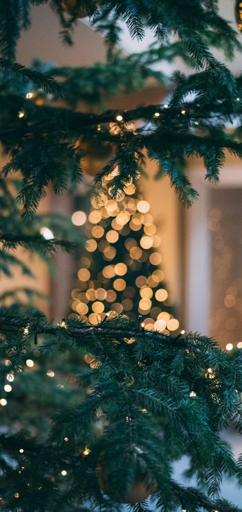 christmas, Christmas tree, New Year Wallpaper 1080x2280