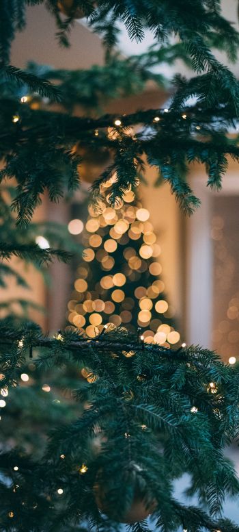 christmas, Christmas tree, New Year Wallpaper 720x1600
