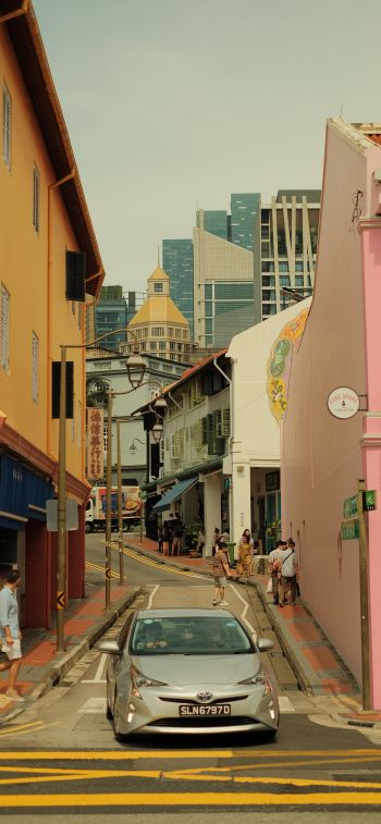 Singapore, city Wallpaper 828x1792