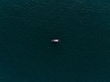 over the sea, boat Wallpaper 1024x768