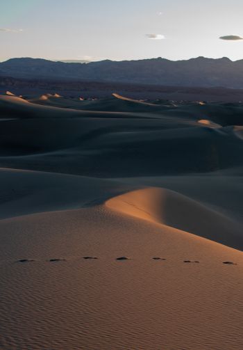 Death Valley, California, USA Wallpaper 1640x2360