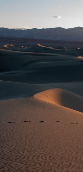 Death Valley, California, USA Wallpaper 1080x2220