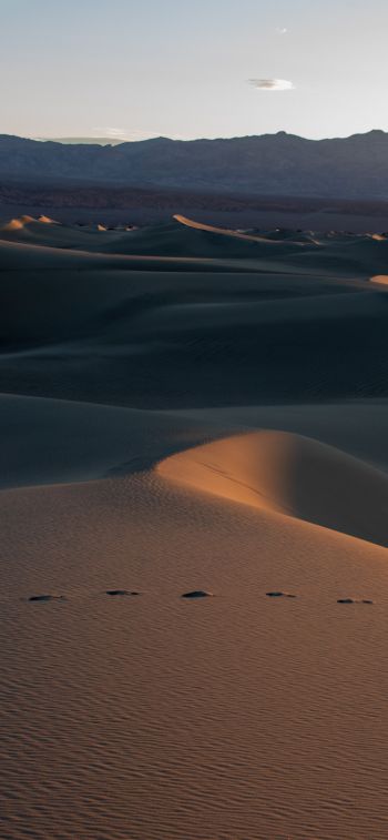 Death Valley, California, USA Wallpaper 1242x2688