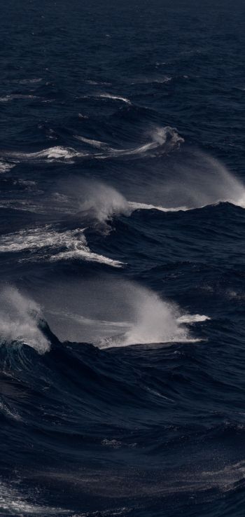 sea, waves Wallpaper 1080x2280