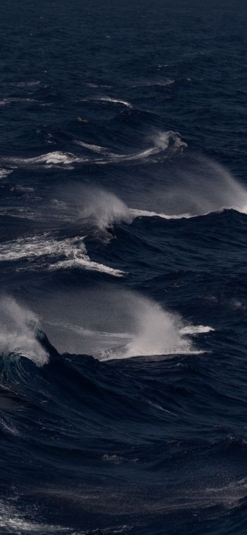 sea, waves Wallpaper 1125x2436