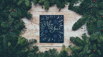 New Year, Christmas tree Wallpaper 1600x900