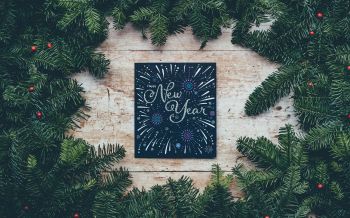 New Year, Christmas tree Wallpaper 2560x1600