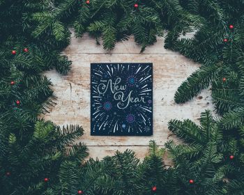New Year, Christmas tree Wallpaper 1280x1024