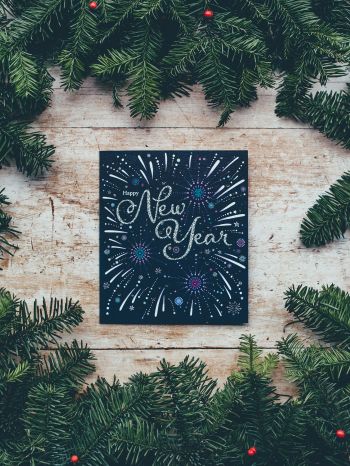 New Year, Christmas tree Wallpaper 2048x2732