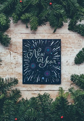 New Year, Christmas tree Wallpaper 1640x2360