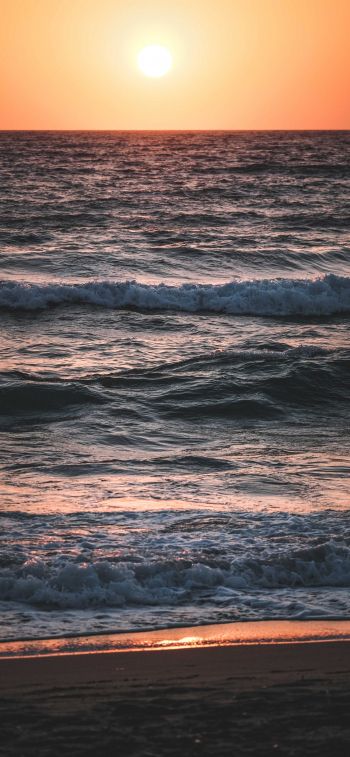 sunset at sea Wallpaper 828x1792