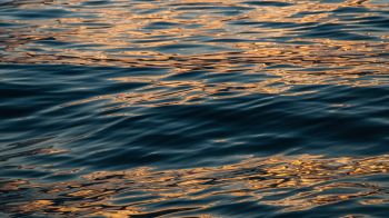 sea, sun reflection Wallpaper 2560x1440