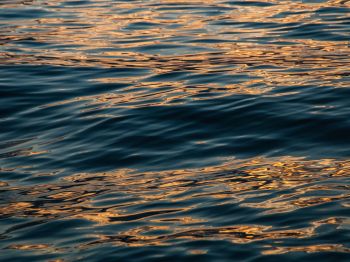 sea, sun reflection Wallpaper 1024x768