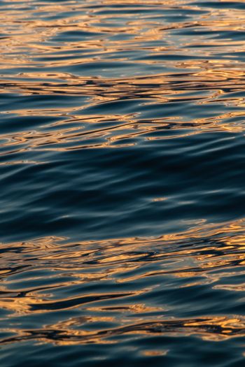 sea, sun reflection Wallpaper 640x960