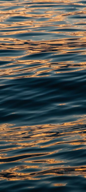 sea, sun reflection Wallpaper 720x1600