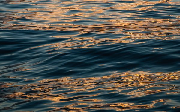 sea, sun reflection Wallpaper 1920x1200
