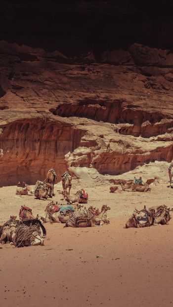 Wadi Rum Village, Jordan Wallpaper 1080x1920